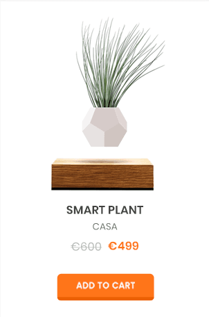 plant